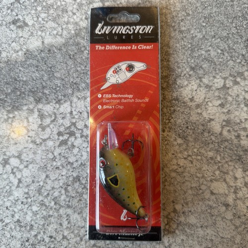 Livingston dive master - livingston, jr