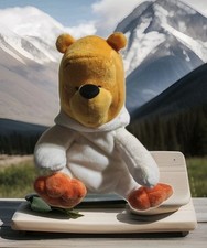PELUCHE Winnie De Pooh WALT DISNEY CON TUTA INVERNALE SC5