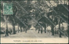 Imperia Ventimiglia Passeggiata delle Palme al Mare cartolina RT2952