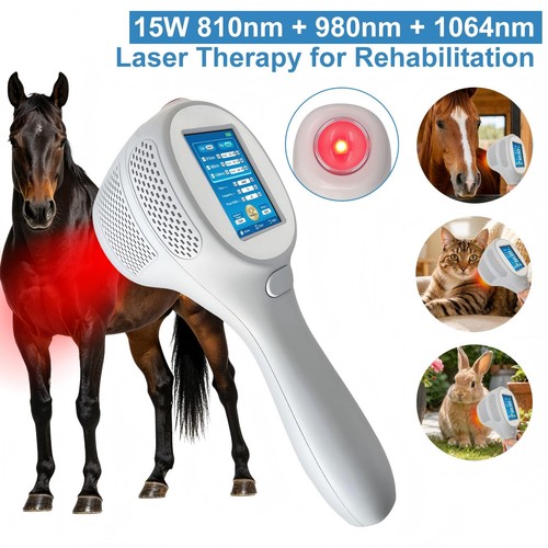Laser terapeutico 15w classe - laser,