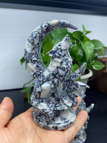 1pz fiore naturale tai chi - 1pz,