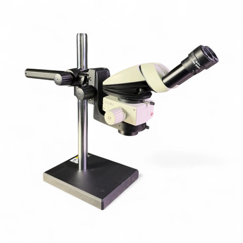 Microscopio stereo leica - microscopio, m50