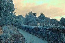 Fotocamera reflex digitale