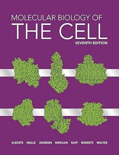 Molecular biology the cell - biology, of