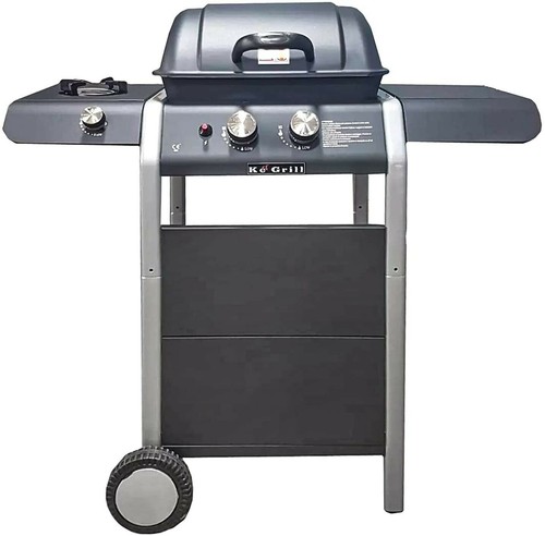 Barbecue gas fuochi - barbecue,