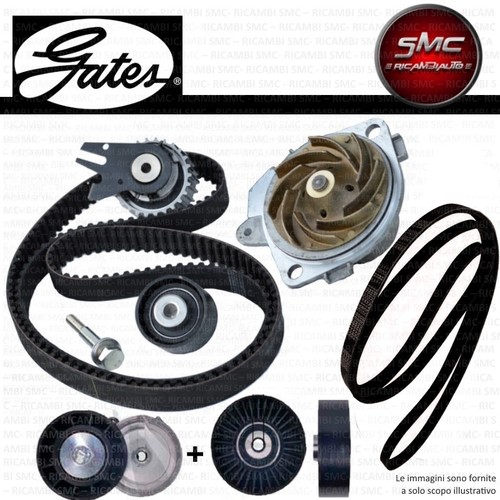 Kit distribuzione gates - kit,