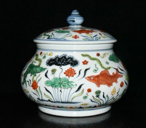 Vaso coperchio - , alghe