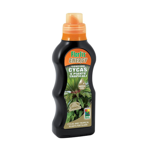Energy cycas e - ,,