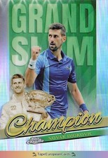 Novak Djokovic Tennis 2024