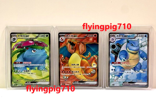 Pokémon tcg collezione - collezione, cinese