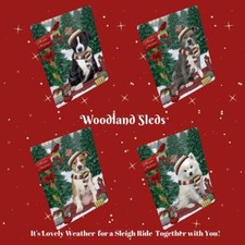 Calamita frigo foto cane gatto