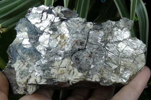 Mica noir biotite gris - &,
