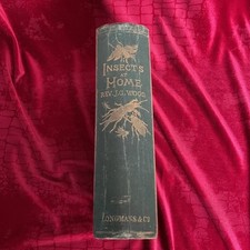 Insects At Home:  Popular