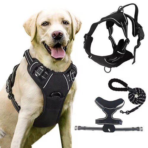 Imbracatura per cani con - imbracatura,