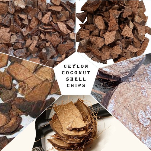 Patatine guscio cocco - patatine, eco