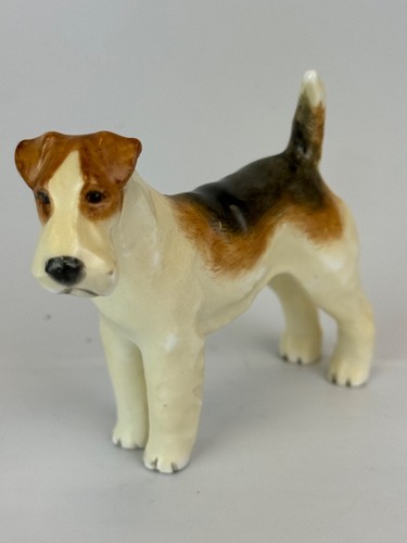 Wire hair terrier dog - hair, by