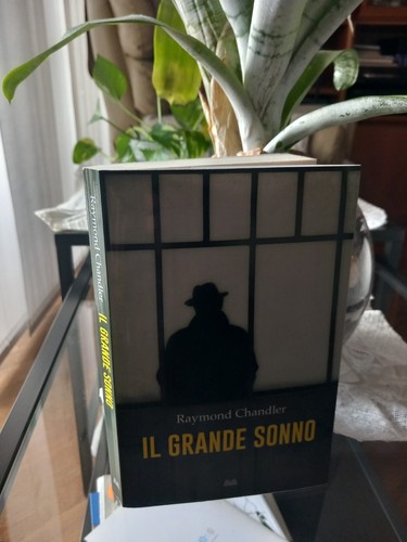 Grande sonno raymond - sonno,