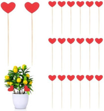 20 Mini Paletti da Giardino a