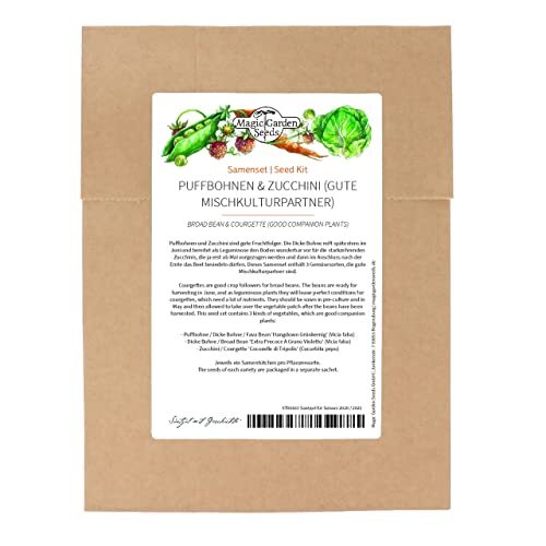 Fave zucchine set di semi - zucchine,