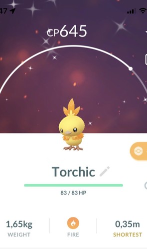 Shiny torchic pokemon gen3 - torchic,