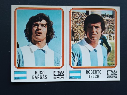 Figurina panini - figurina,