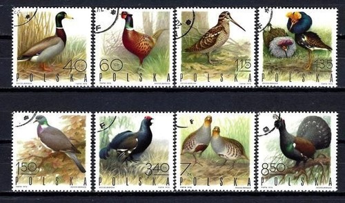 Animali uccelli polonia 1970 - animali,