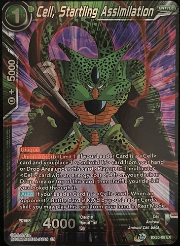 Cell assimilazione - cell,,