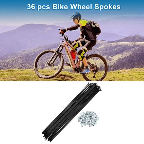 Raggi bici 12g lunghezza 280mm - 12g,