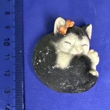 GATTINO GATTO DORME CALAMITA