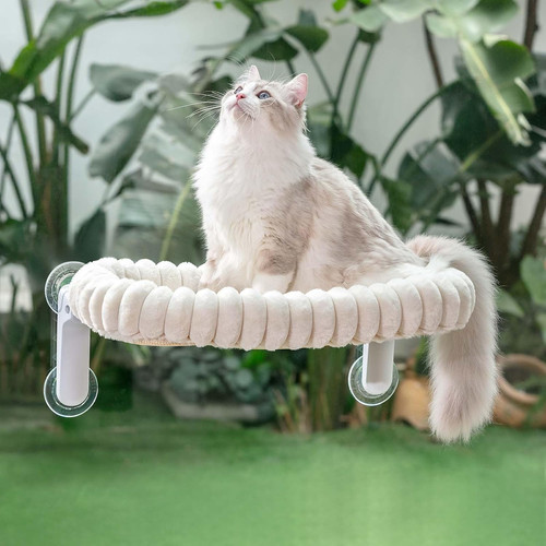 Amaca gatto finestra - amaca,