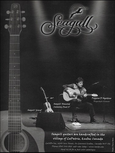 Stampa pubblicitaria chitarra
