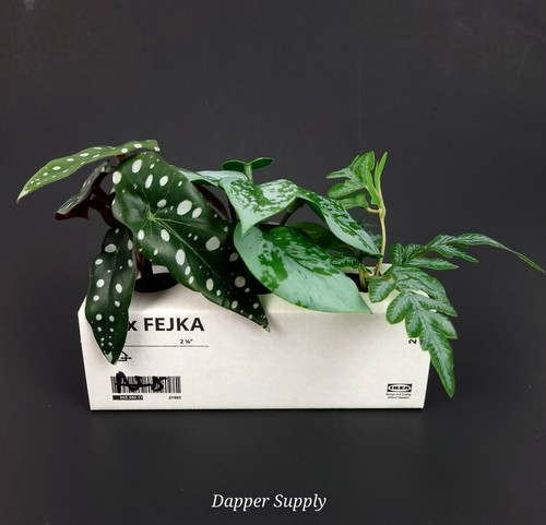 Ikea fejka pianta artificiale - fejka,