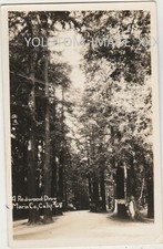 RPPC-Redwood Drive-Mill Valley