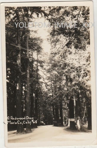 Rppc redwood drive mill valley - rppc-redwood, drive-mill