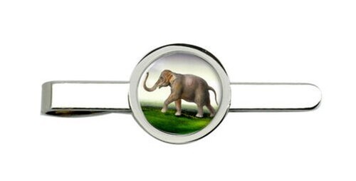 Fermacravatta elefante indiano - elefante,