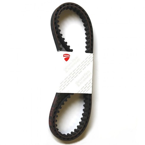 Set cinghia distribuzione - set,