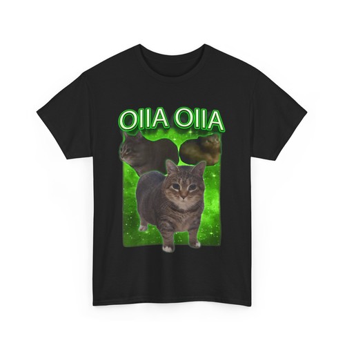 Oiia spinning - spinning, meme