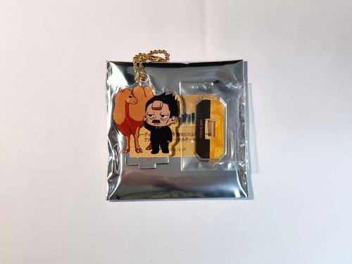 Supporto acrilico golden - supporto,