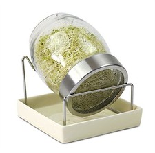 BARATTOLO GERMOGLIATORE GEO IN VETRO PER GERMOGLI TZZ0865