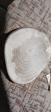 Fetta di tronco in legno