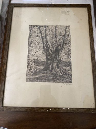 Disegno autore - d’autore,