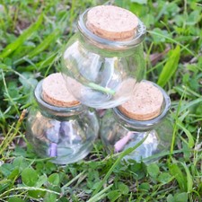 30pz Barattolo Vetro 100ML