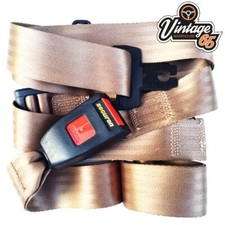 Mini Classic Austin Fisso 2