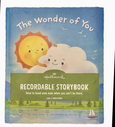 Hallmark recordable storybook - hallmark,