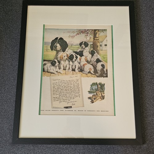 Framed wwii sergeant - sergeant’s, dog