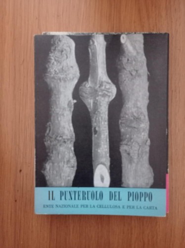 Punteruolo del pioppo encc - pioppo,