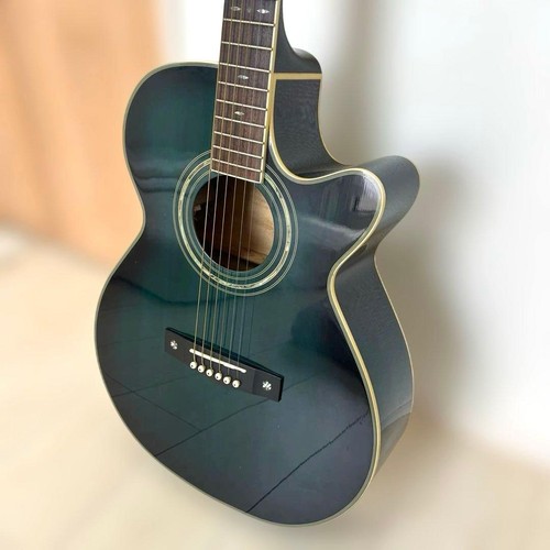 Rara chitarra elettroacustica