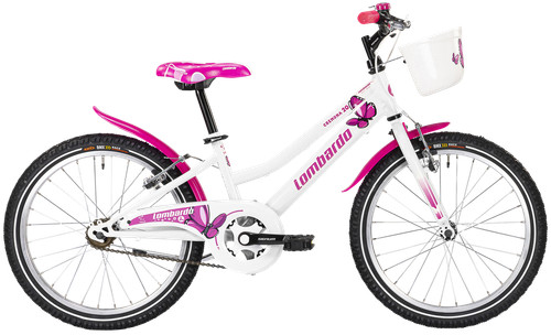 Bici bicicletta mountabike - bici,