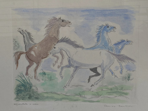 Veniero canevari cavalli - veniero, "cavalli"