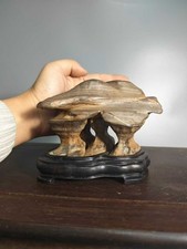 #5002.bonsai di Suiseki cinese